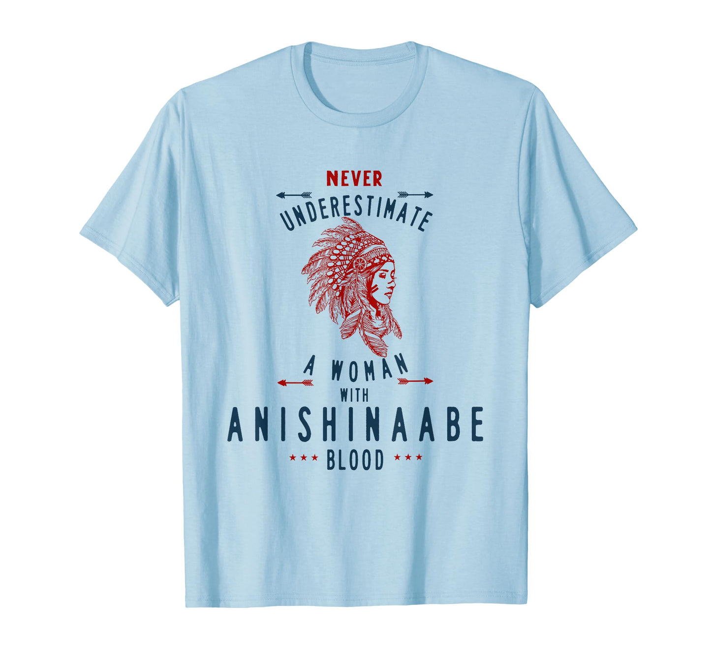 Anishinaabe Native American Indian Woman No Underestimate T-Shirt