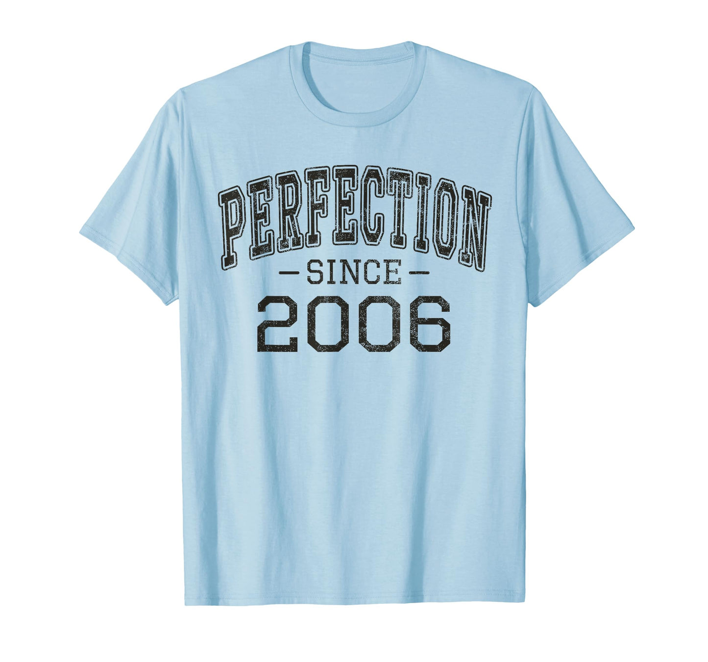 Perfection since 2006 Vintage Style Born in 2006 Birthday T-Shirt