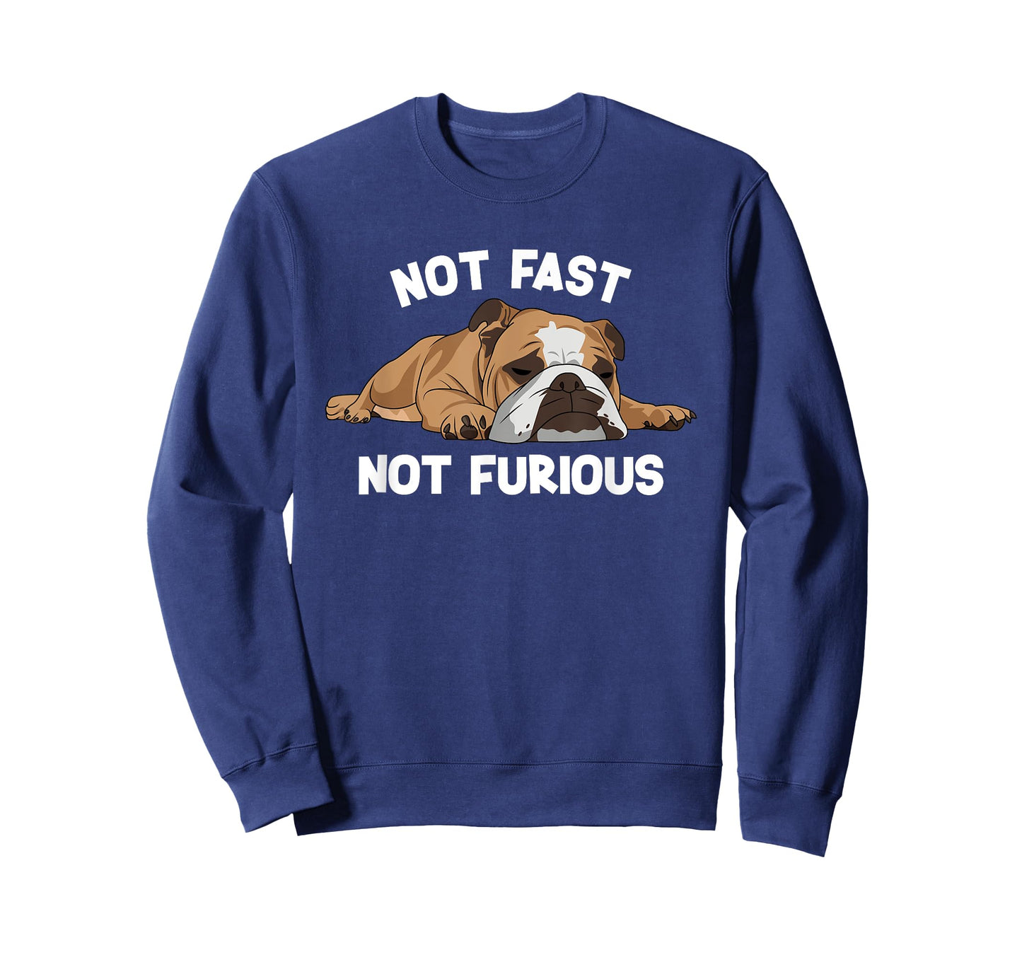 English Bulldog Sleeping Not Fast Not Furious Funny Slogan T-Shirt for Men Women Girls Kids