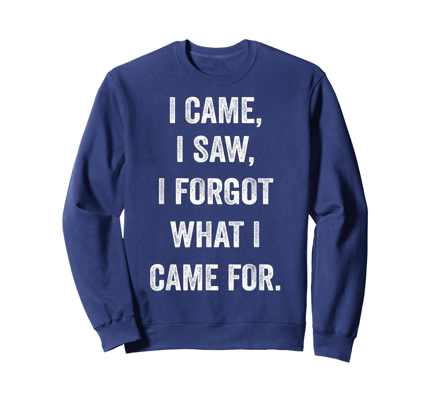 I came, I saw, I forgot what I came for funny novel sarcasm T-Shirt