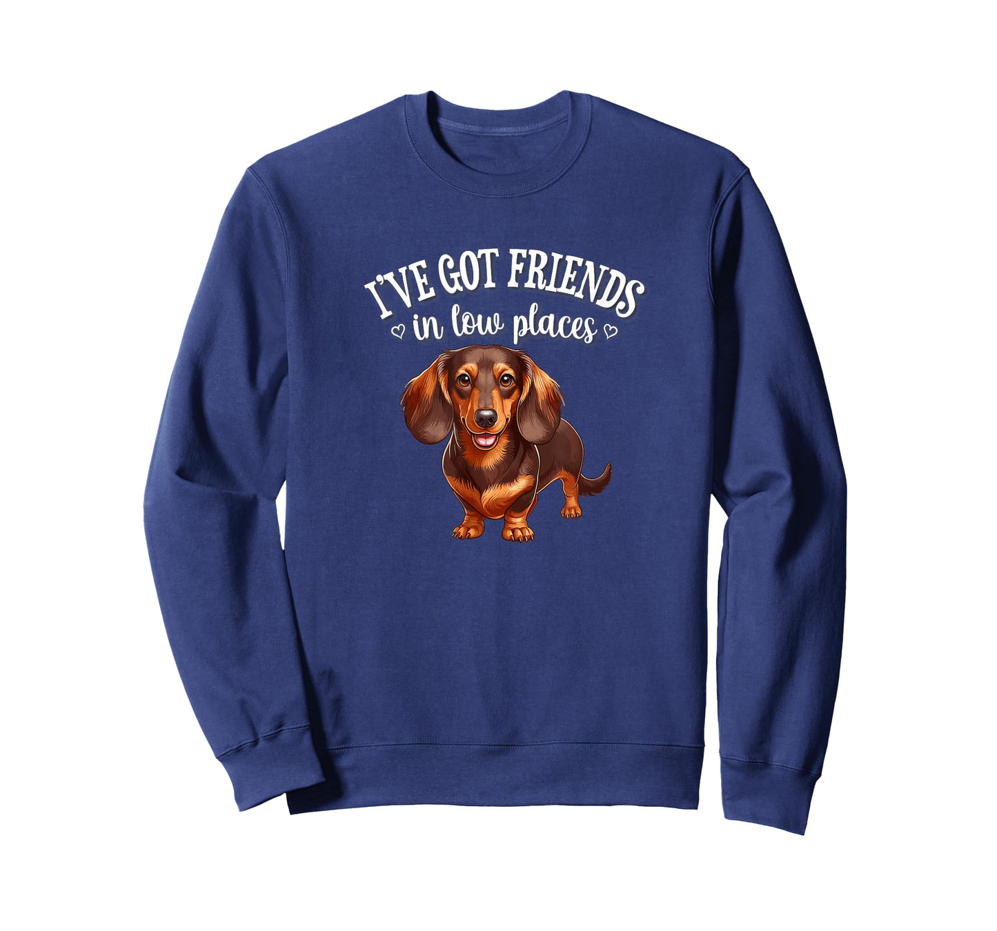 Funny Friends In Low Places Brown Dachshund Lover T-Shirt