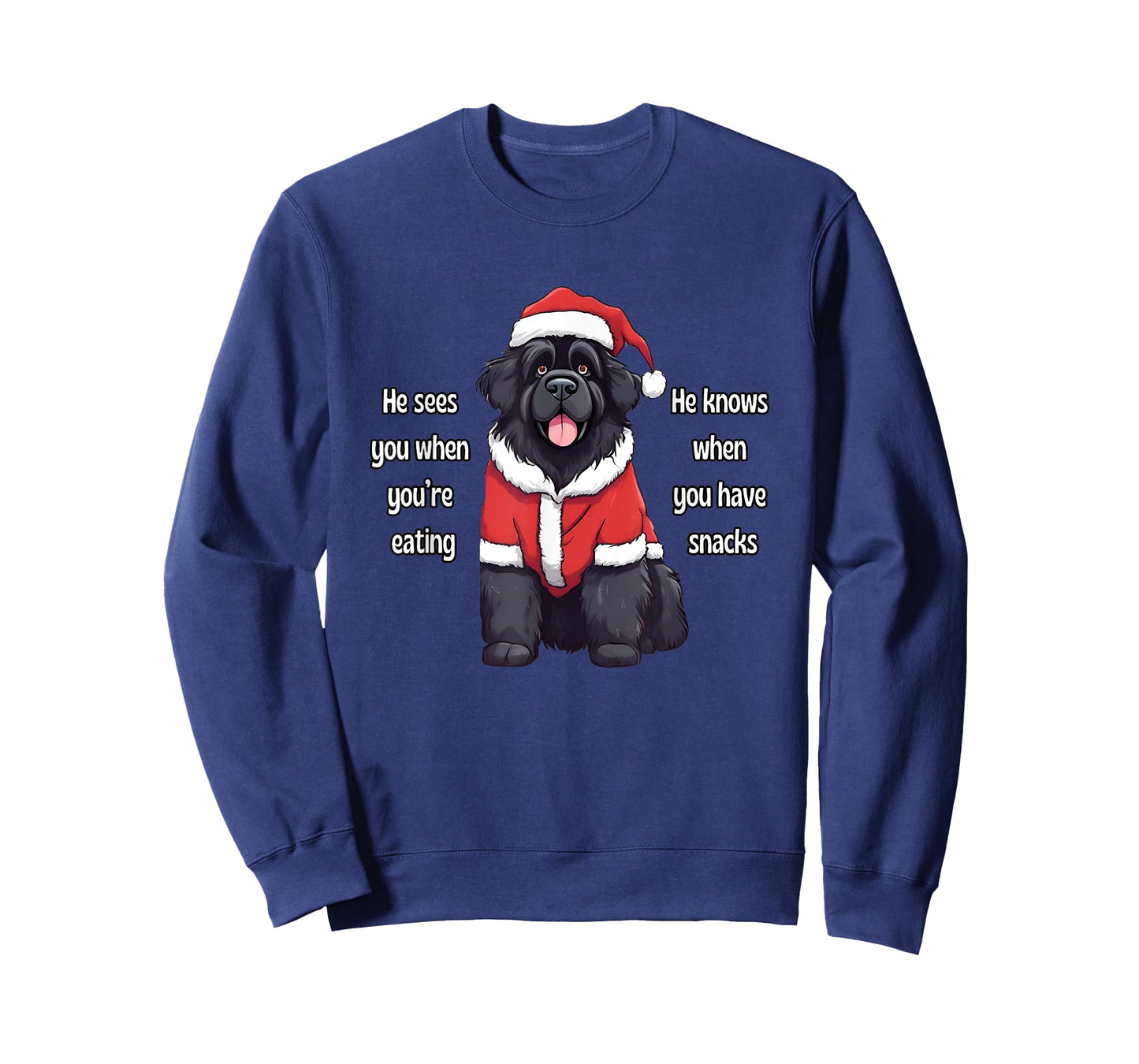 He Sees You When You're Eating Funny Newfoundland Christmas T-Shirt