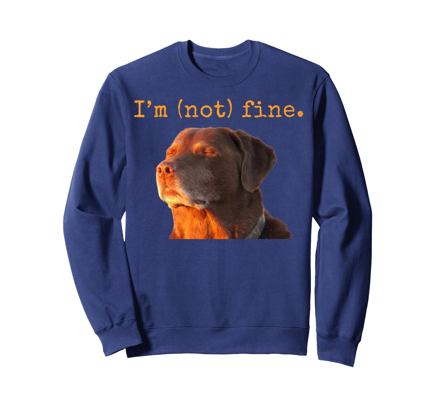 Cooked Dog Accepting Fate Closing Eyes Funny I'm Fine Meme T-Shirt