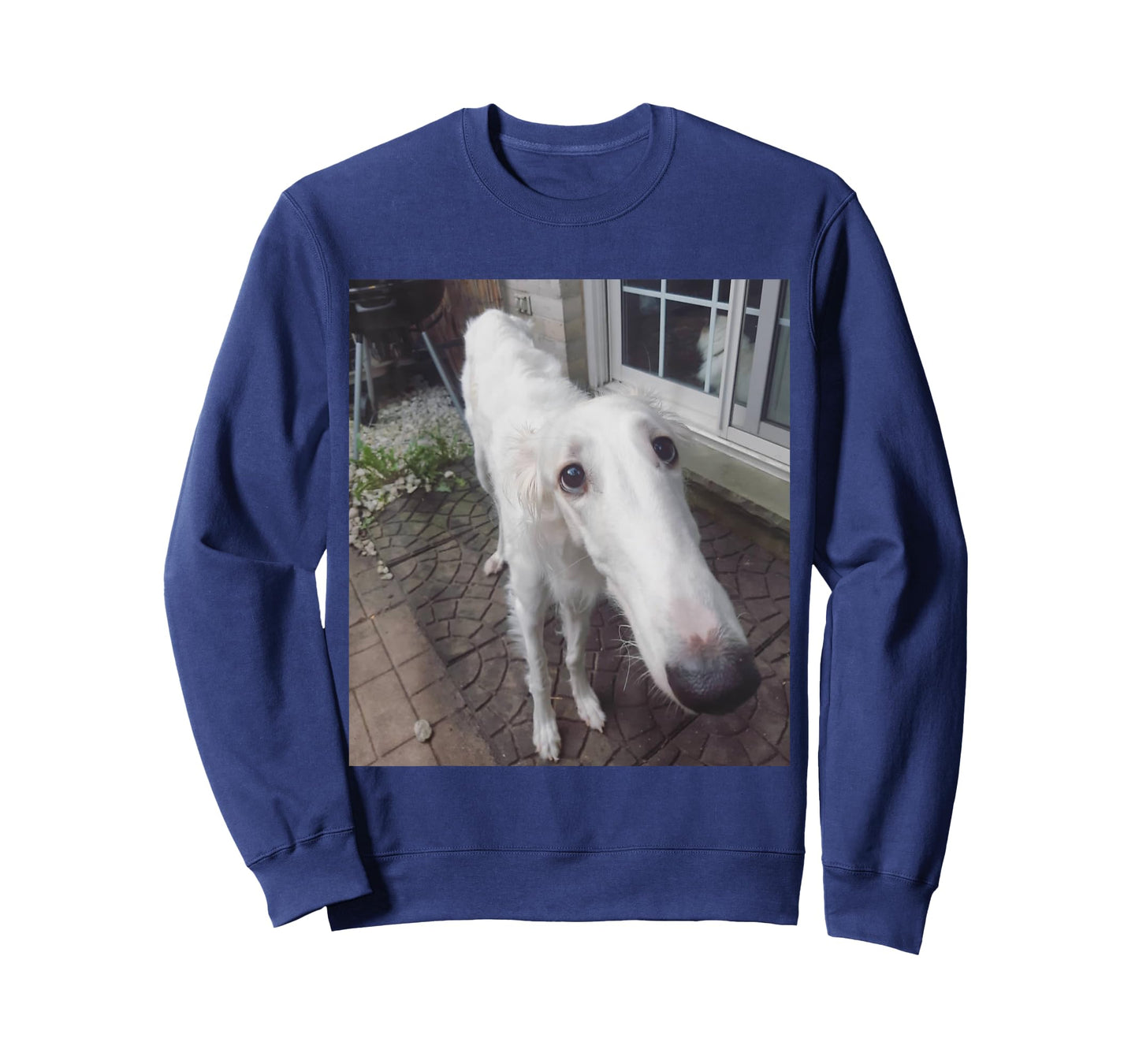 Funny Borzoi Long Nose Dog Meme T-Shirt
