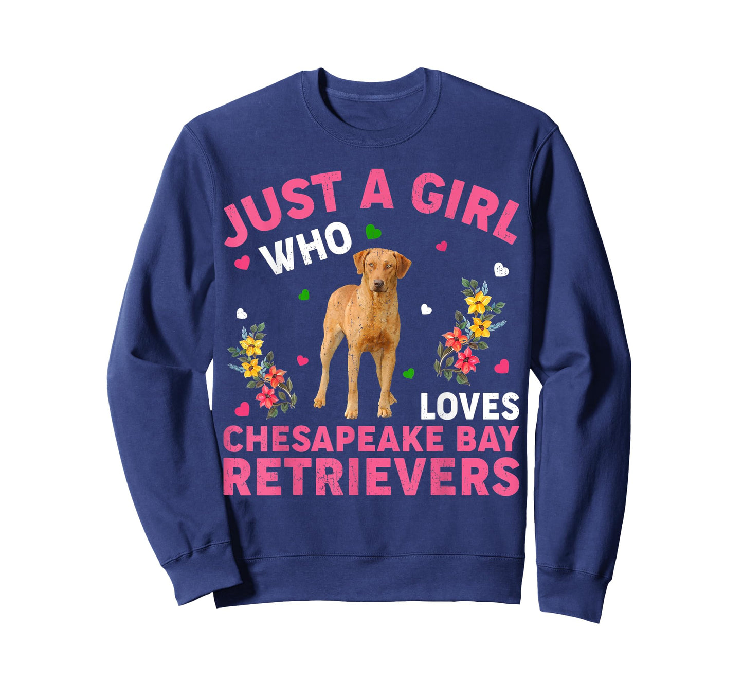 Dog Lover Just A Girl Who Loves Chesapeake Bay Retrievers T-Shirt