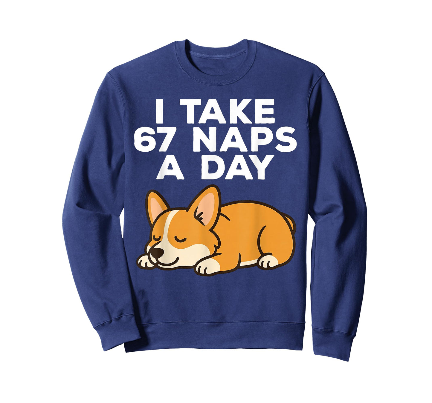 I Take 67 Naps A Day Funny Dog Corgi Six Seven Meme T-Shirt