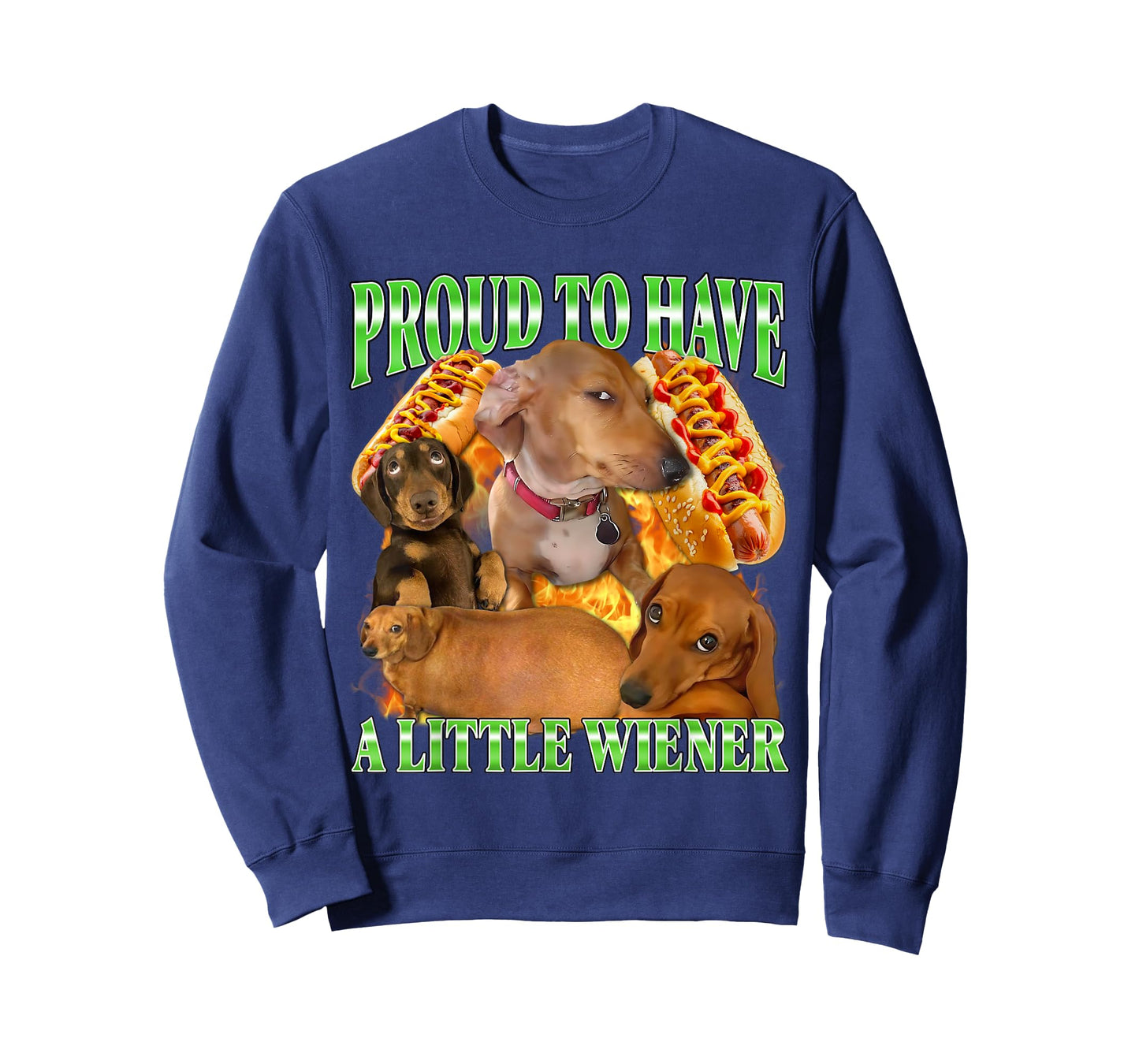 Proud to Have A Little Wiener Funny Offensive Dachshund Dog T-Shirt