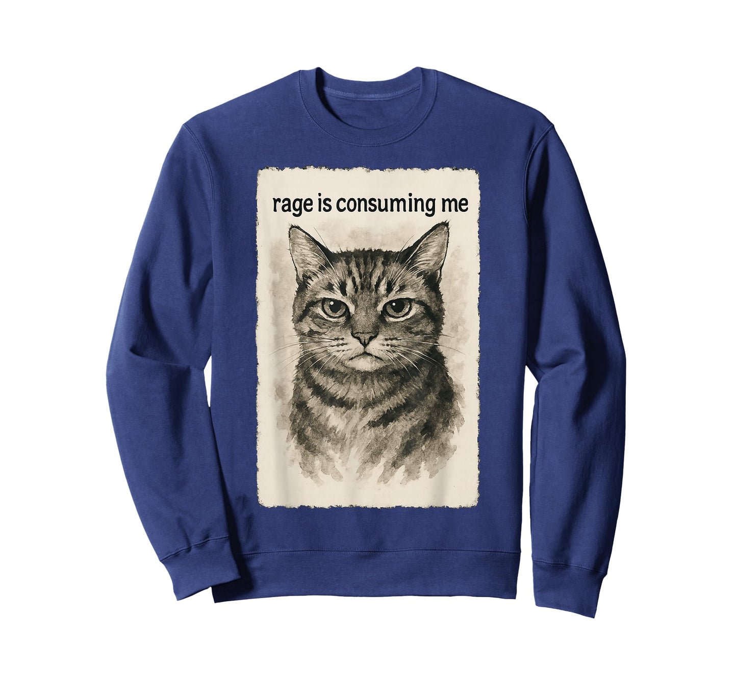 Rage is Consuming Me Funny Silly Staring Cat Meme Sumi-e T-Shirt