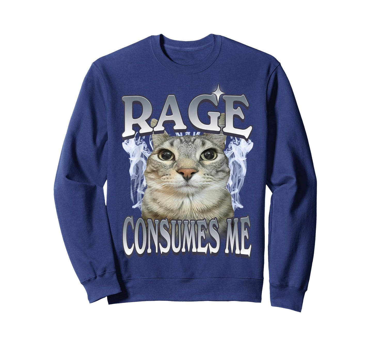 Rage Consumes Me Cat Meme Vintage Feline Funny Artwork T-Shirt