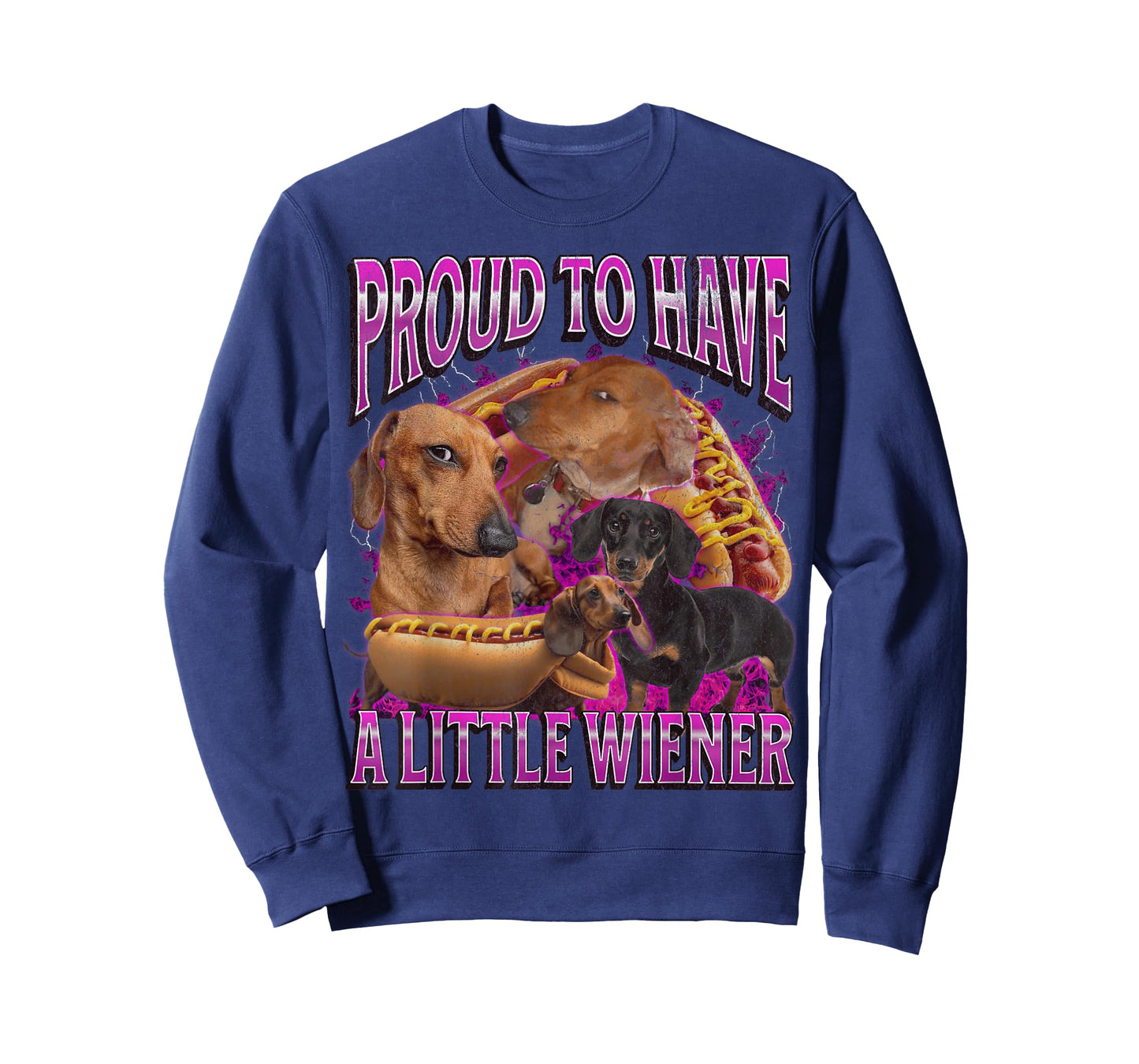 Proud To Have A Little Wiener Funny Offensive Dachshund T-Shirt