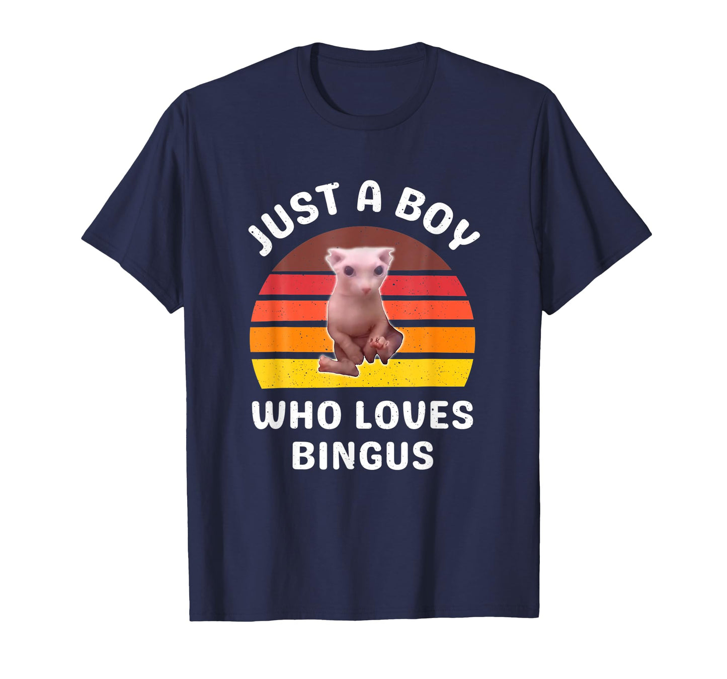 Just A Boy Who Loves Bingus Funny Hairless Sphynx Cat T-Shirt