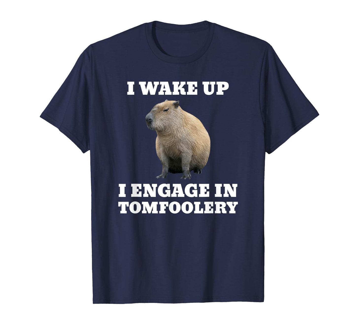 I Wake Up I Engage In Tomfoolery Meme Capybara T-Shirt