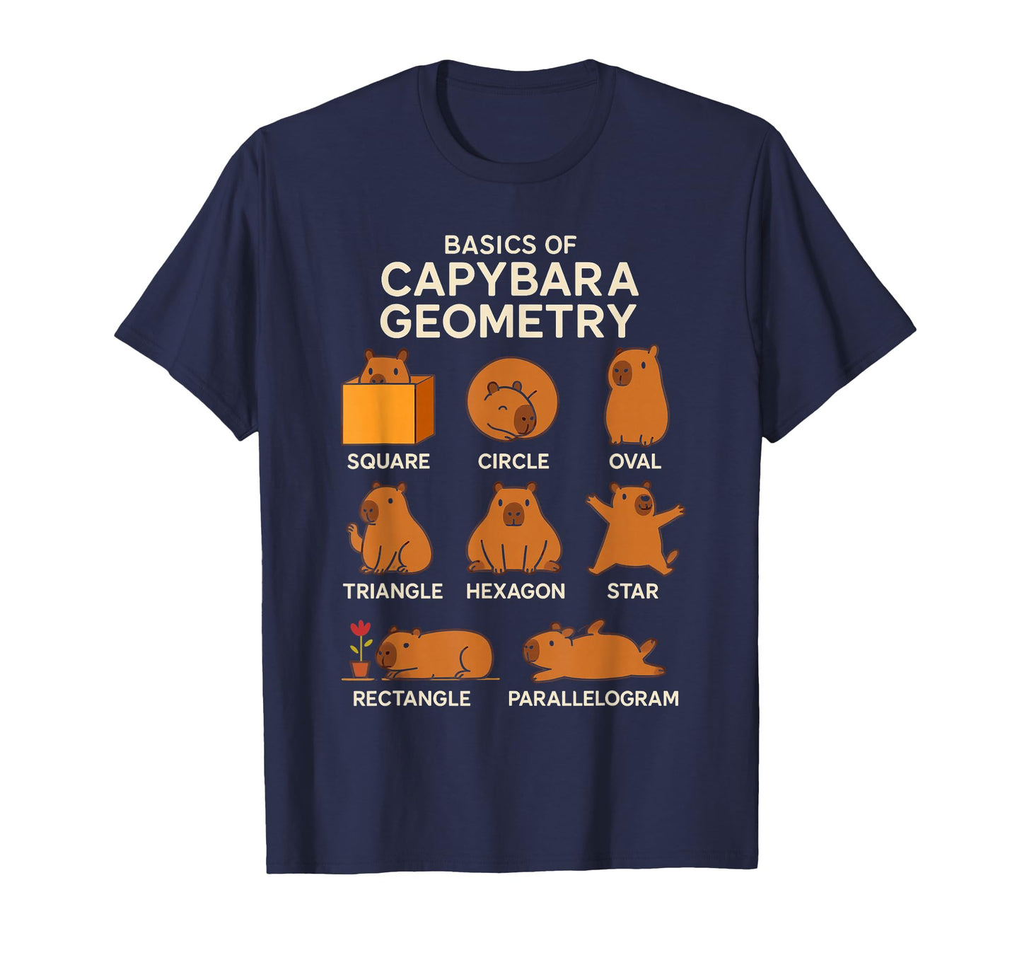 Basic Capybara Geometry Cute Capybara Lover Math School T-Shirt