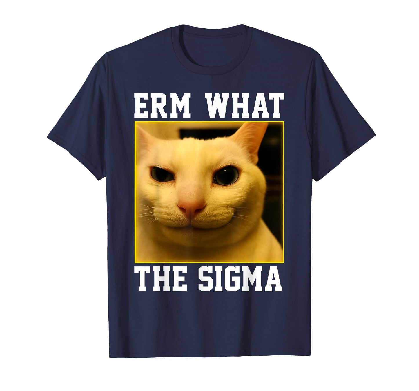 HUGvyn Funny Meme Cat: Erm, What The Sigma Silly Cat Humor T-Shirt