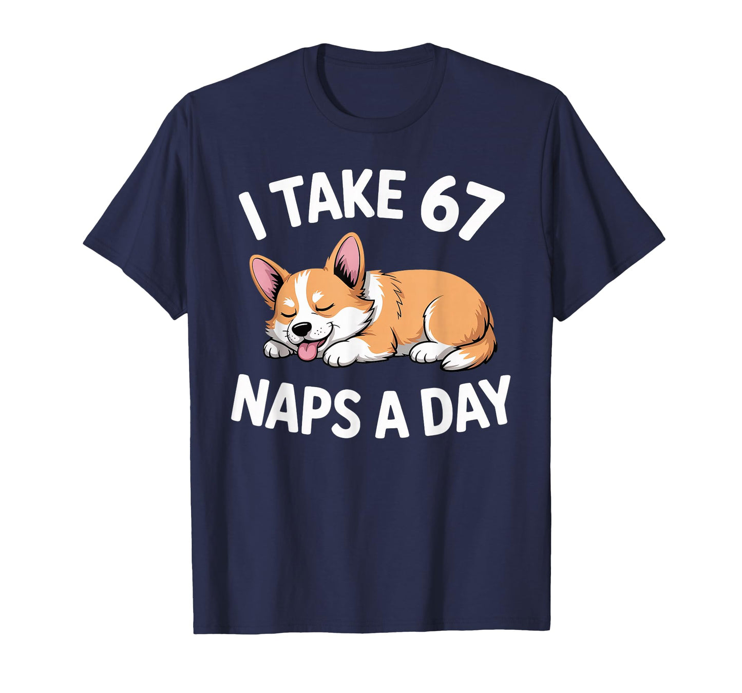 I Take 67 Naps A Day Funny Dog Corgi Six Seven Meme T-Shirt