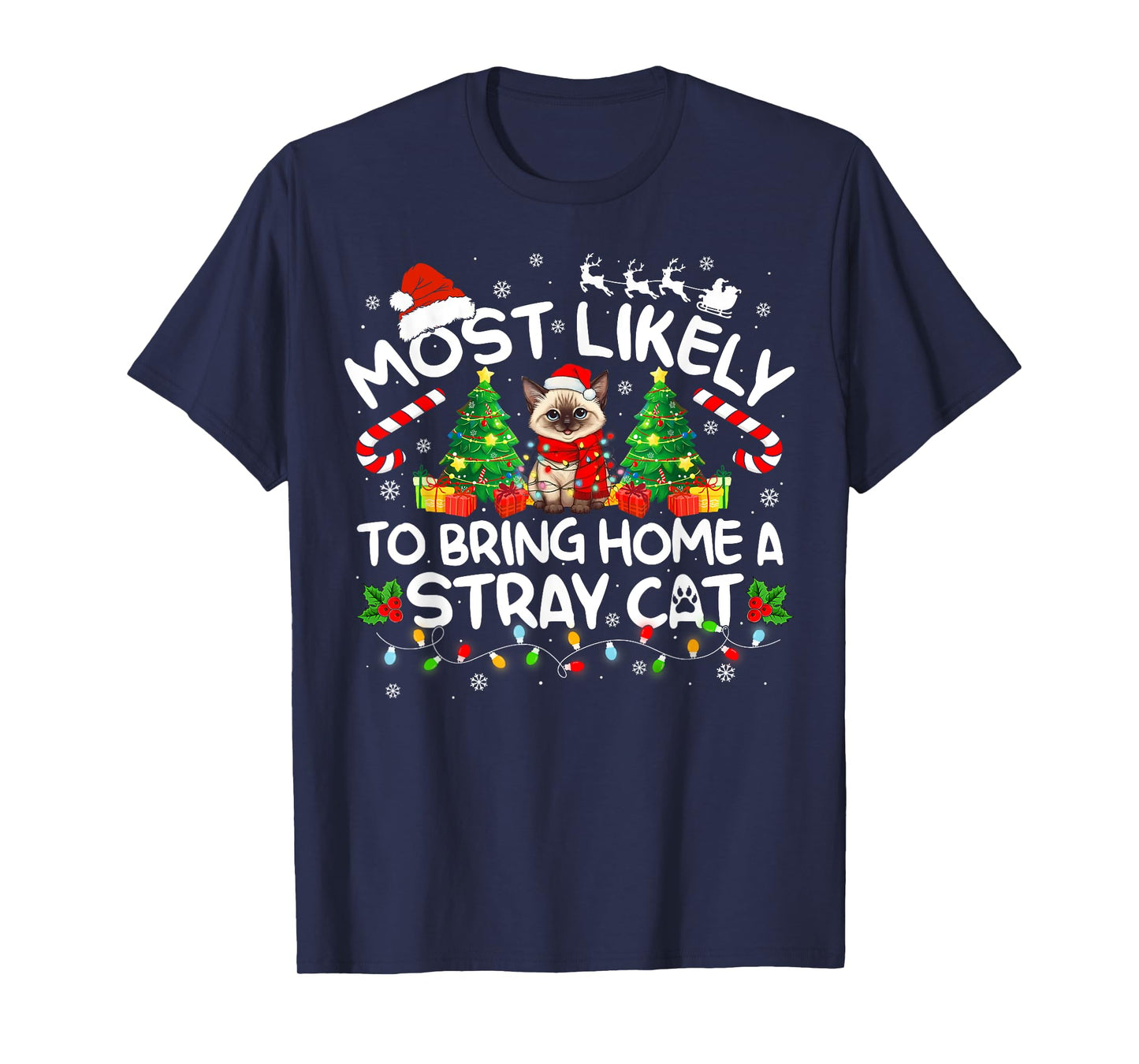Most Likely To Bring Home A Stray Cat Matching Christmas T-Shirt for Men Women Kids