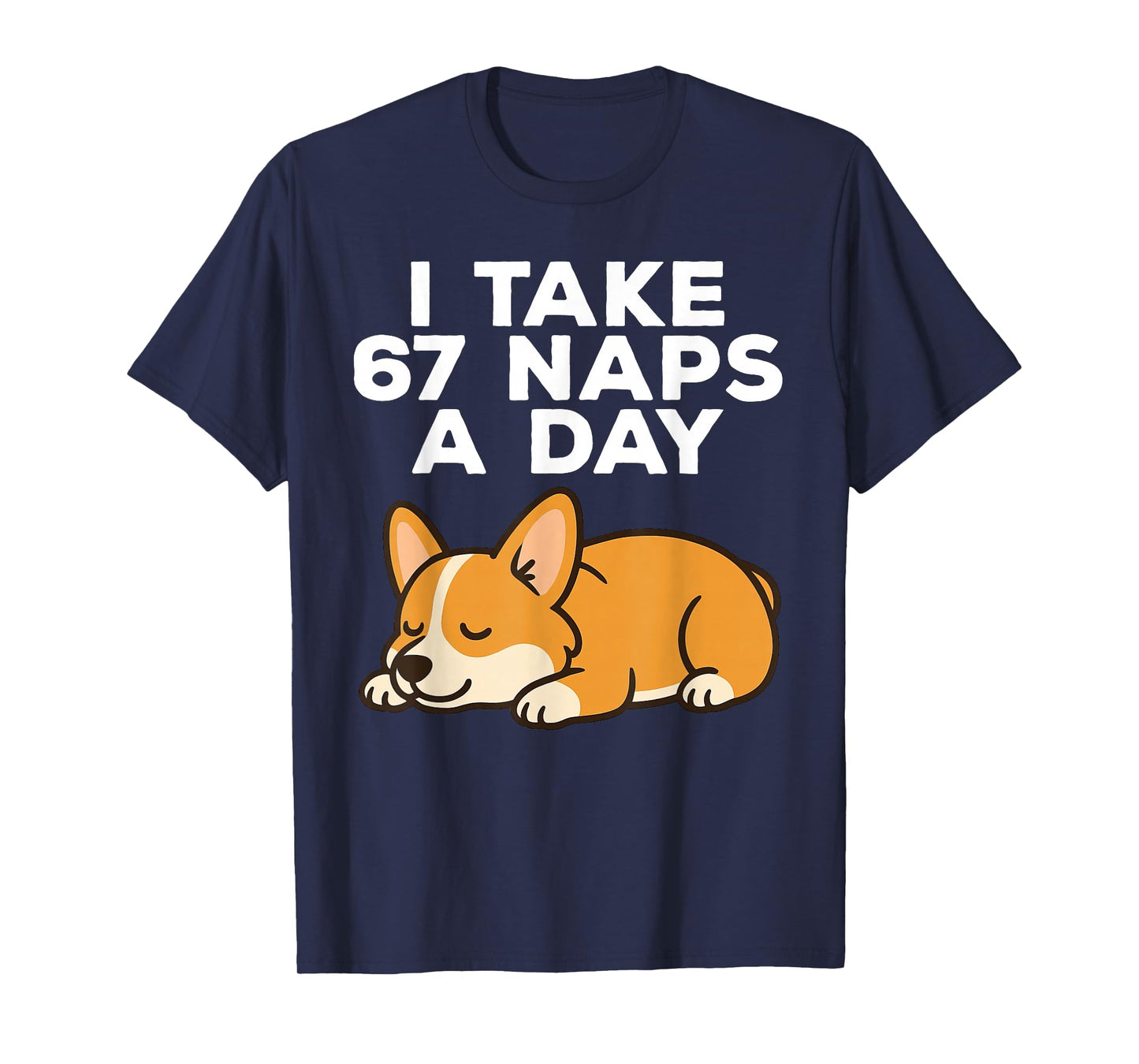 I Take 67 Naps A Day Funny Dog Corgi Six Seven Meme T-Shirt