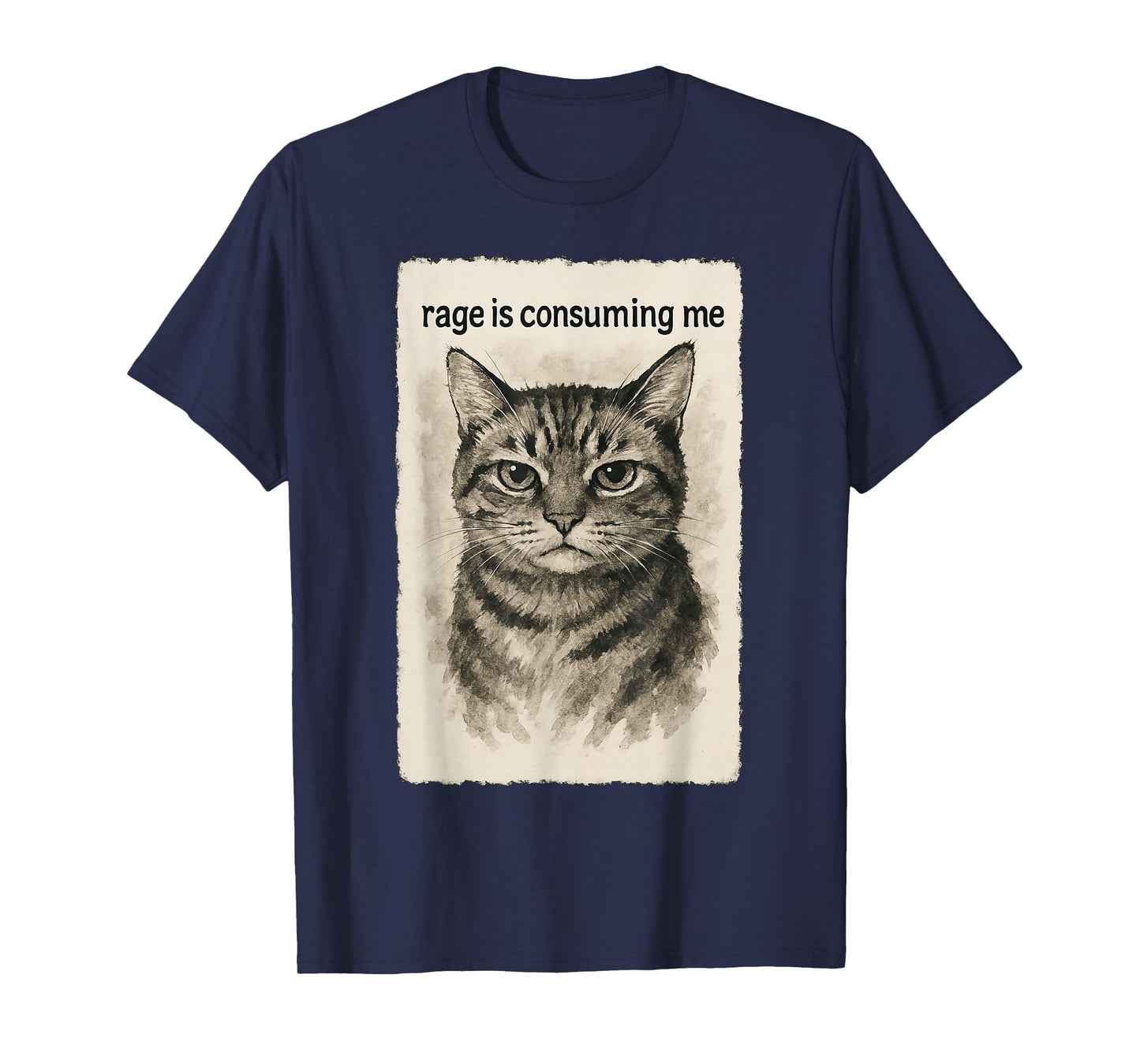 Rage is Consuming Me Funny Silly Staring Cat Meme Sumi-e T-Shirt