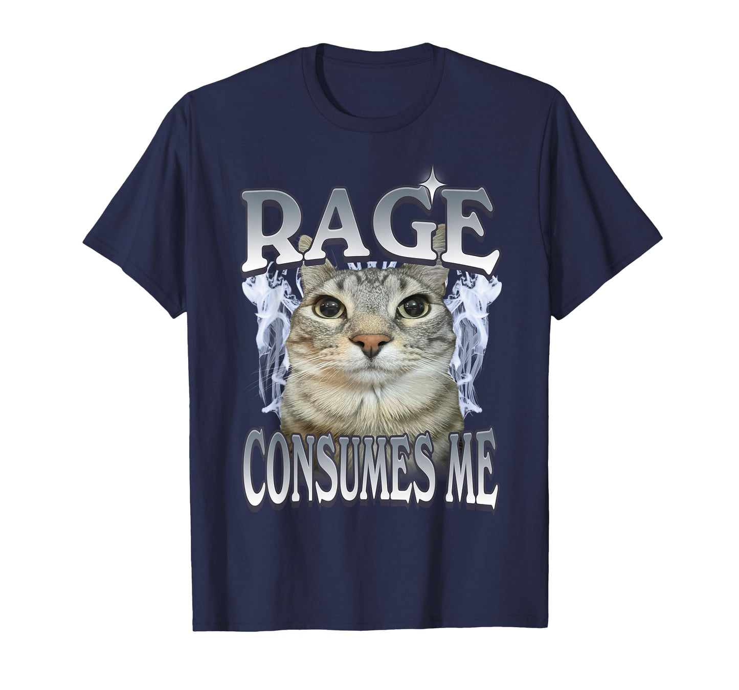 Rage Consumes Me Cat Meme Vintage Feline Funny Artwork T-Shirt