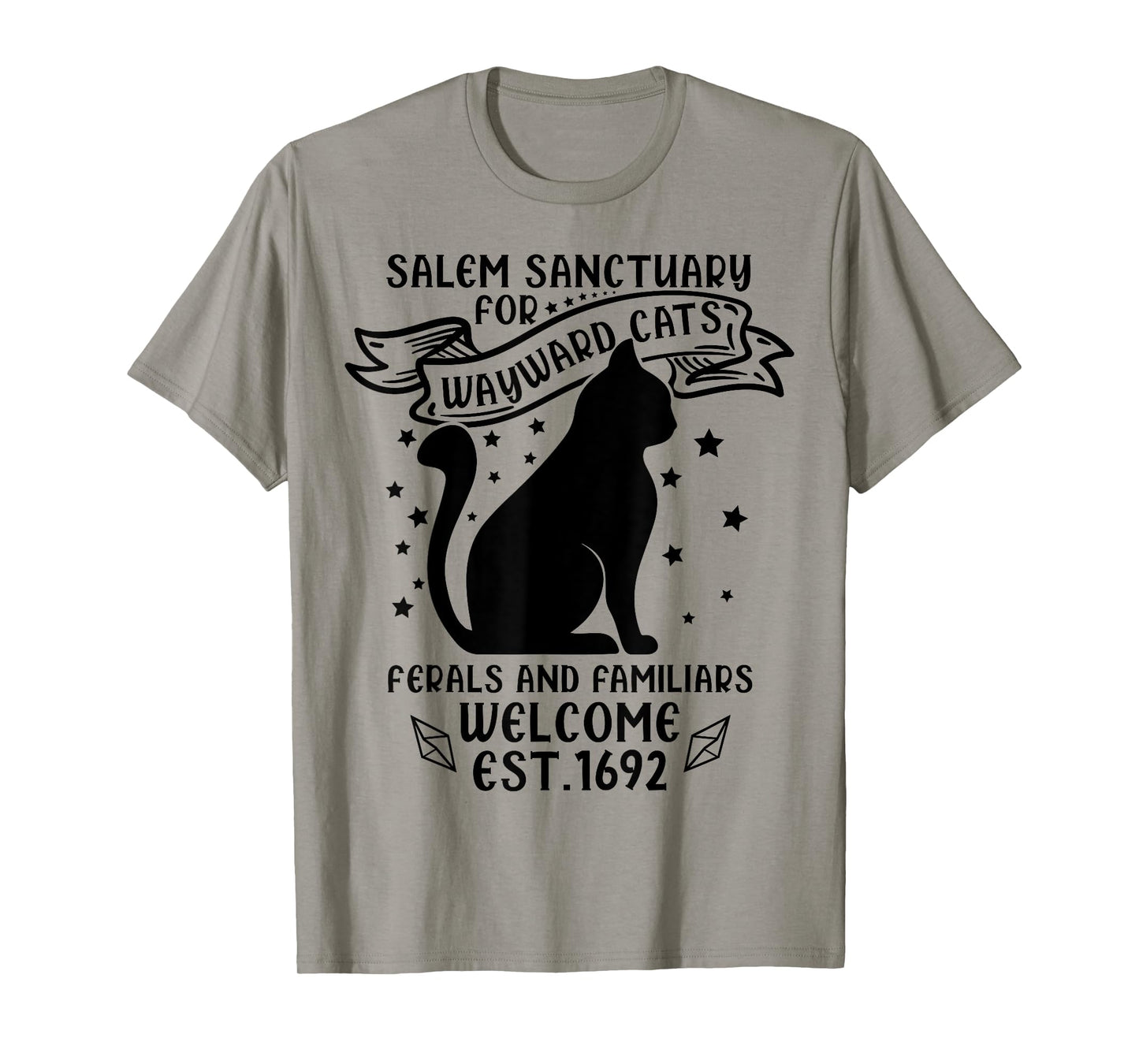 Funny Witch Salem Home for Wayward Black Cats 1692 Halloween T-Shirt