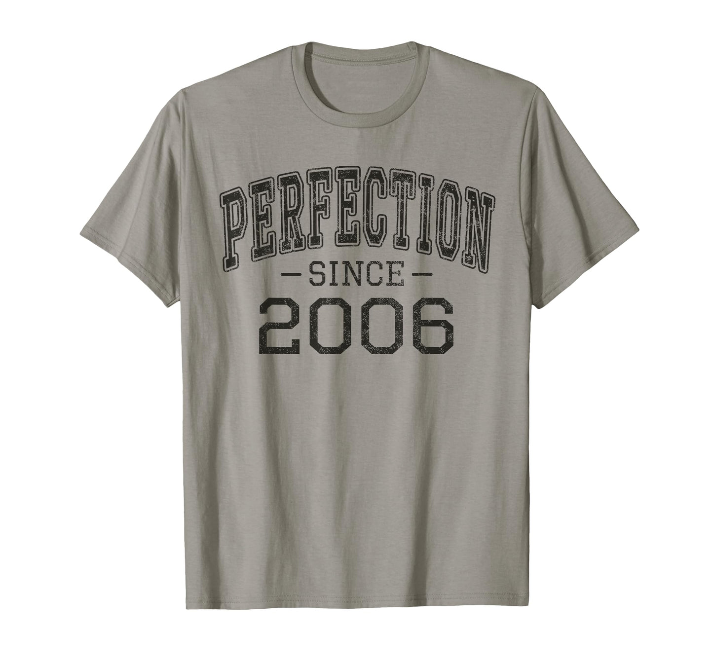 Perfection since 2006 Vintage Style Born in 2006 Birthday T-Shirt