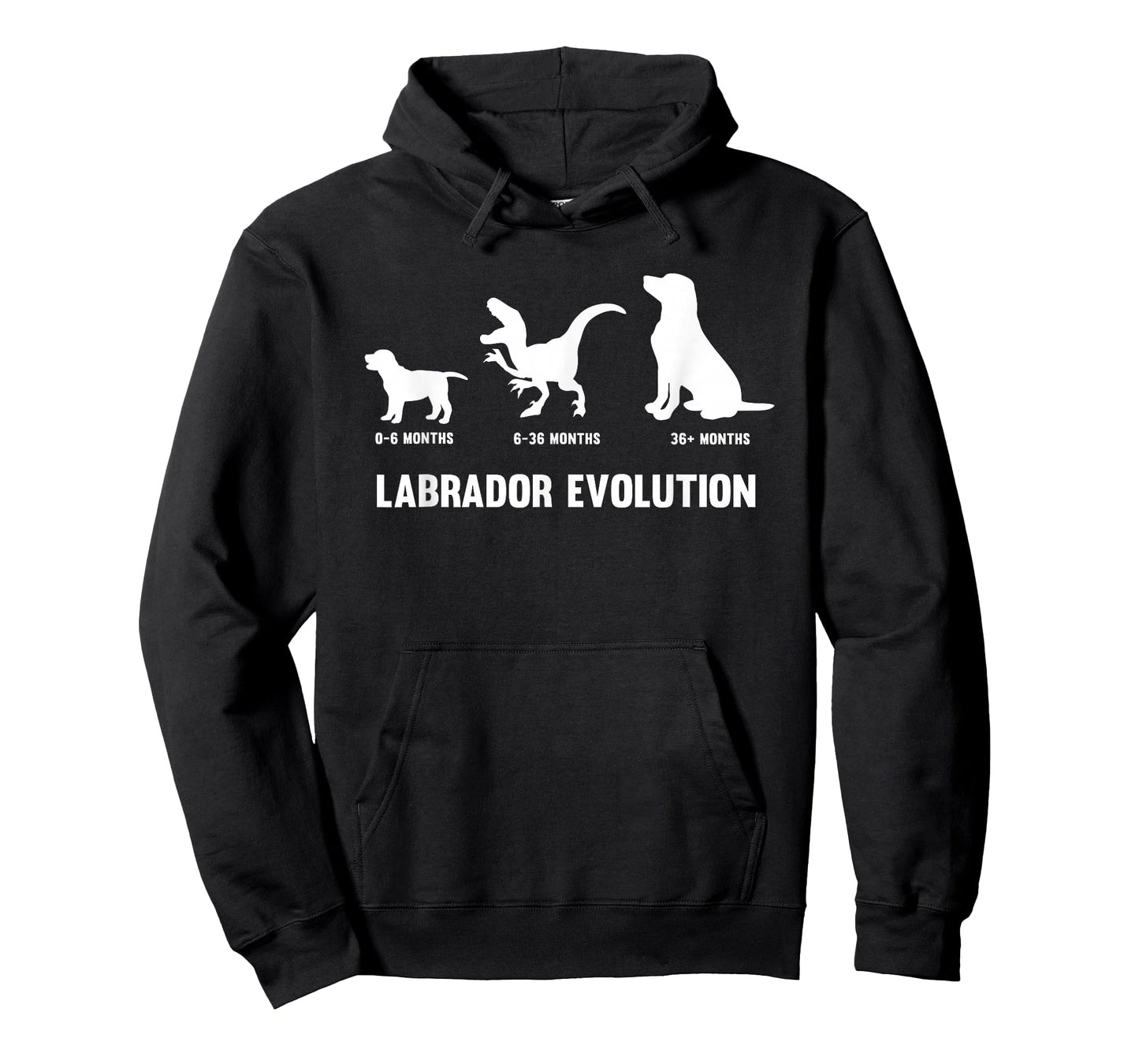 Labrador Retriever Evolution Design for a Labrador Owner T-Shirt Small