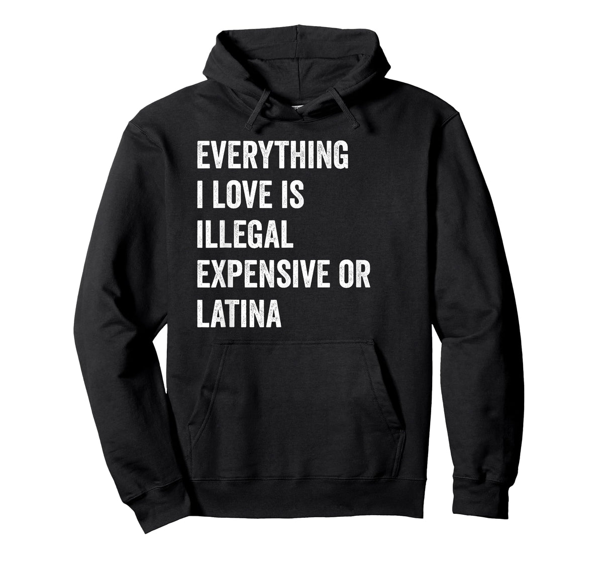 Everything i love is illegal expensive or latina GF T-Shirt