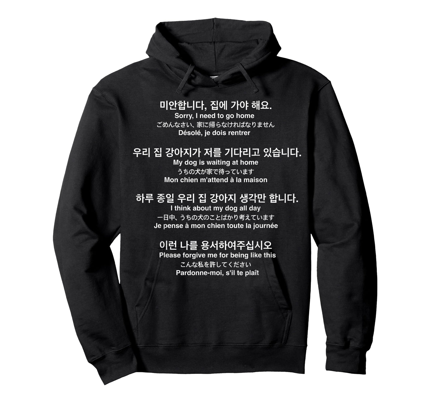 Sorry I Need to Go Home My Dog is Waiting Funny Translations T-Shirt