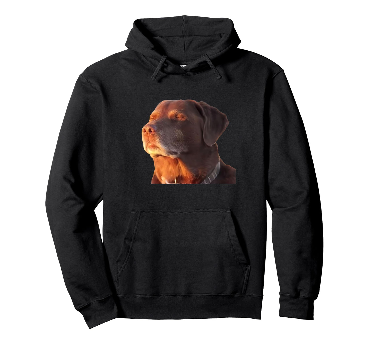Dog Accepting His Fate Funny Men Women T-Shirt