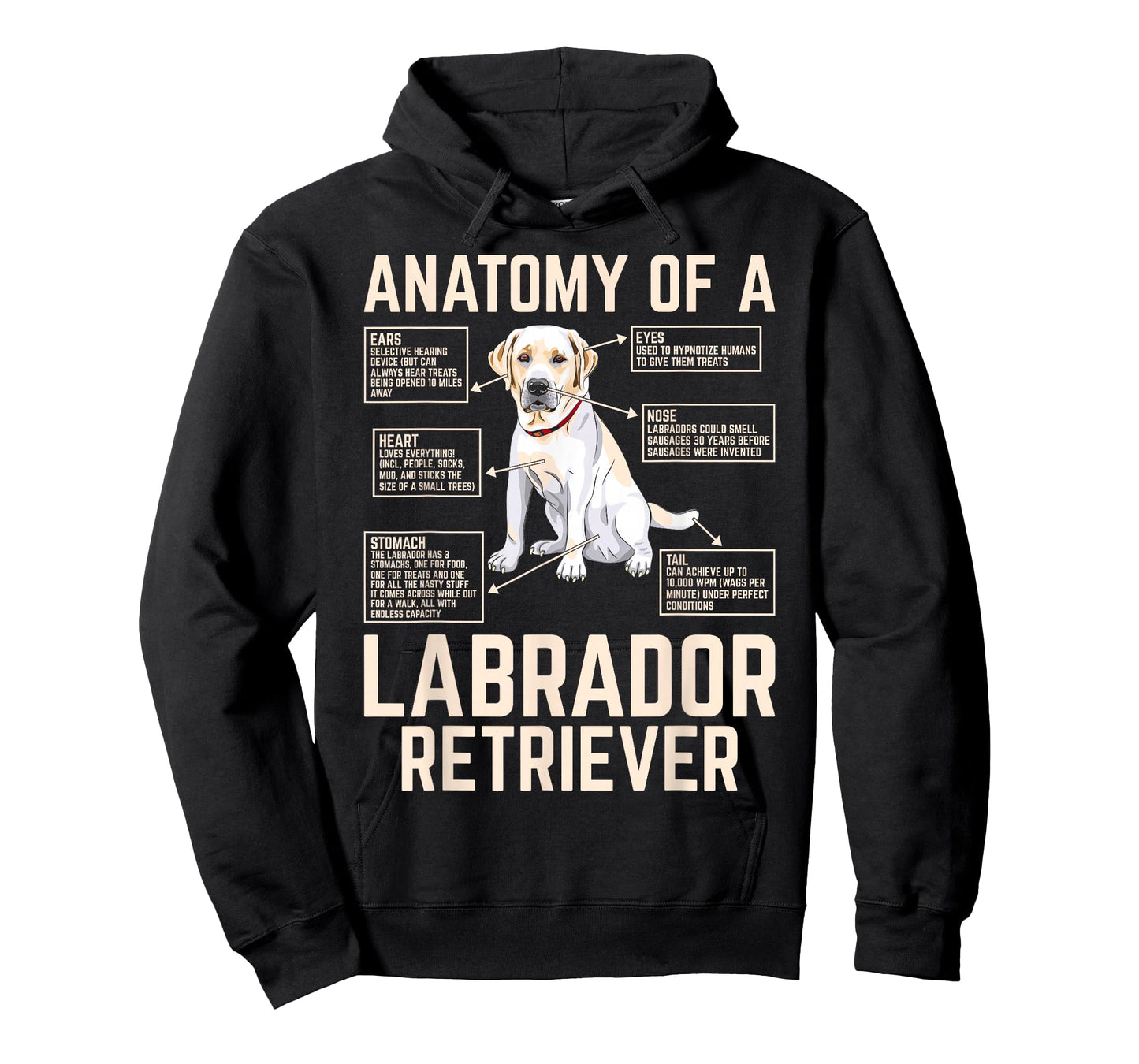 Anatomy of a Labrador Retriever T-Shirt