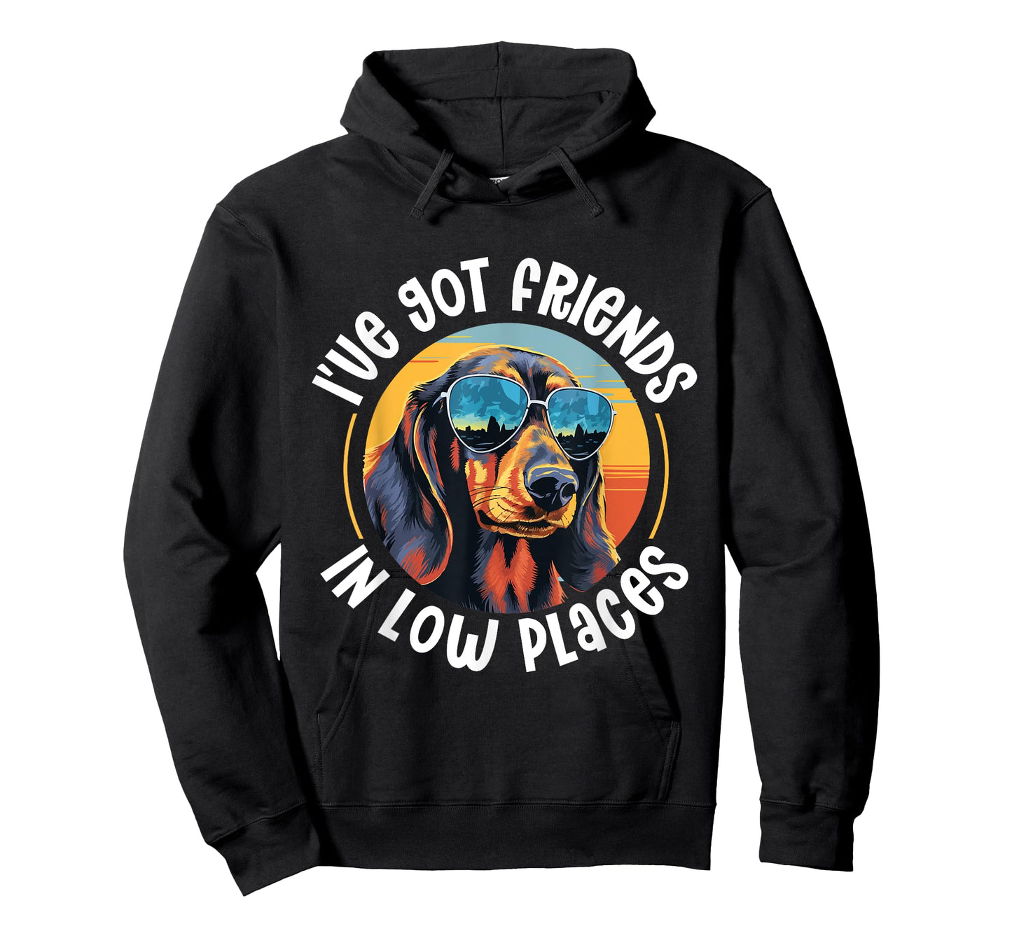 Dachshund wiener sausage dog I've Got Friends In Low Places T-Shirt