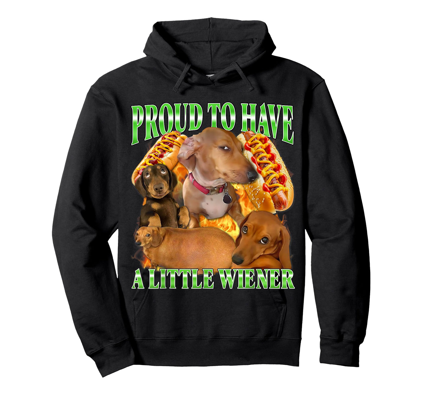 Proud to Have A Little Wiener Funny Offensive Dachshund Dog T-Shirt