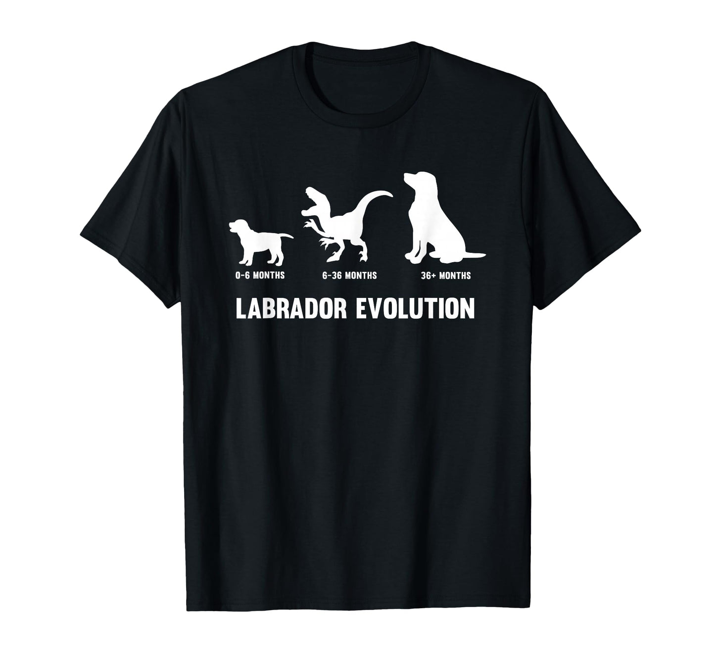 Labrador Retriever Evolution Design for a Labrador Owner T-Shirt Small