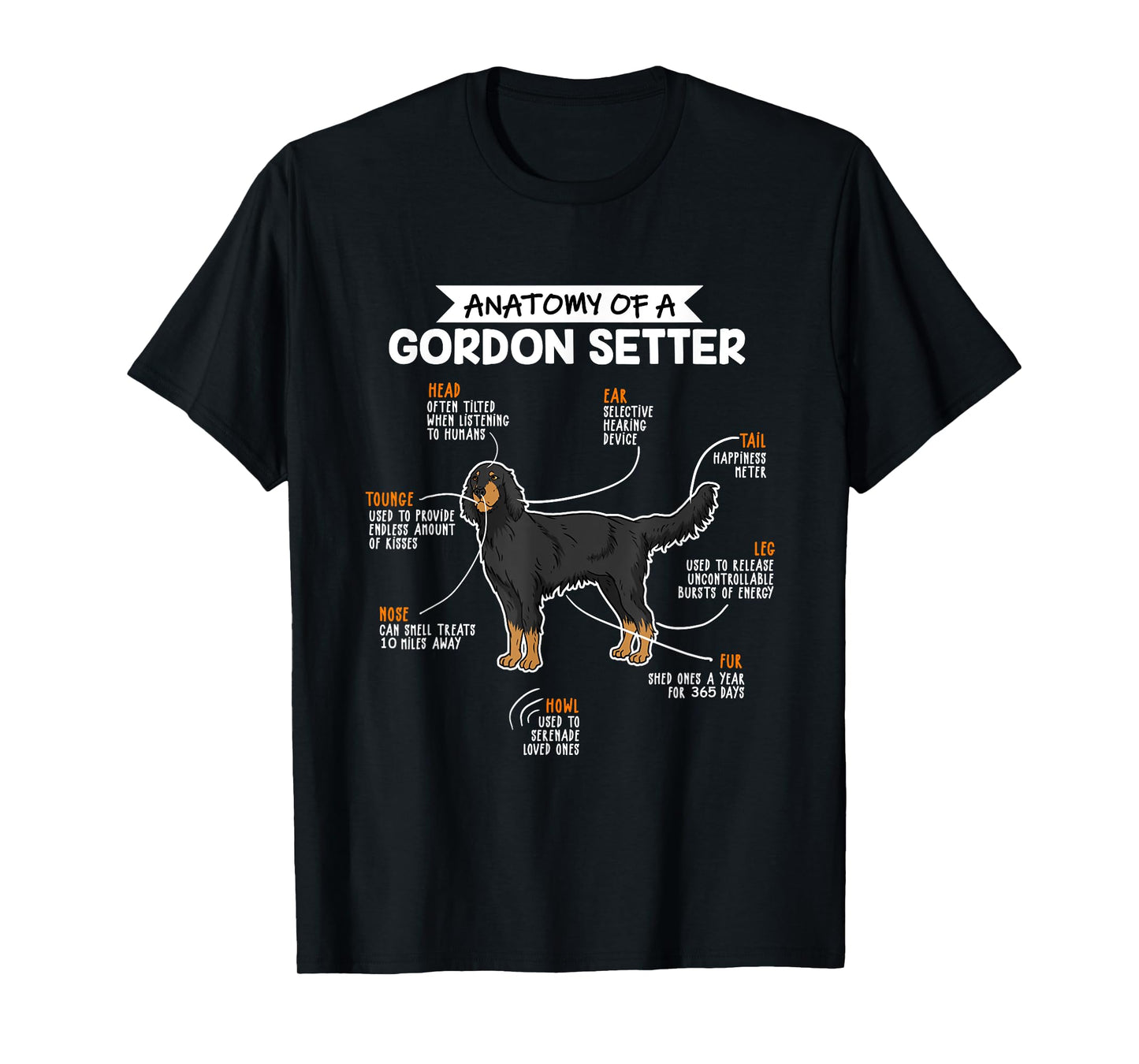Anatomy of a Gordon Setter Fun Dog Master's Lady T-Shirt