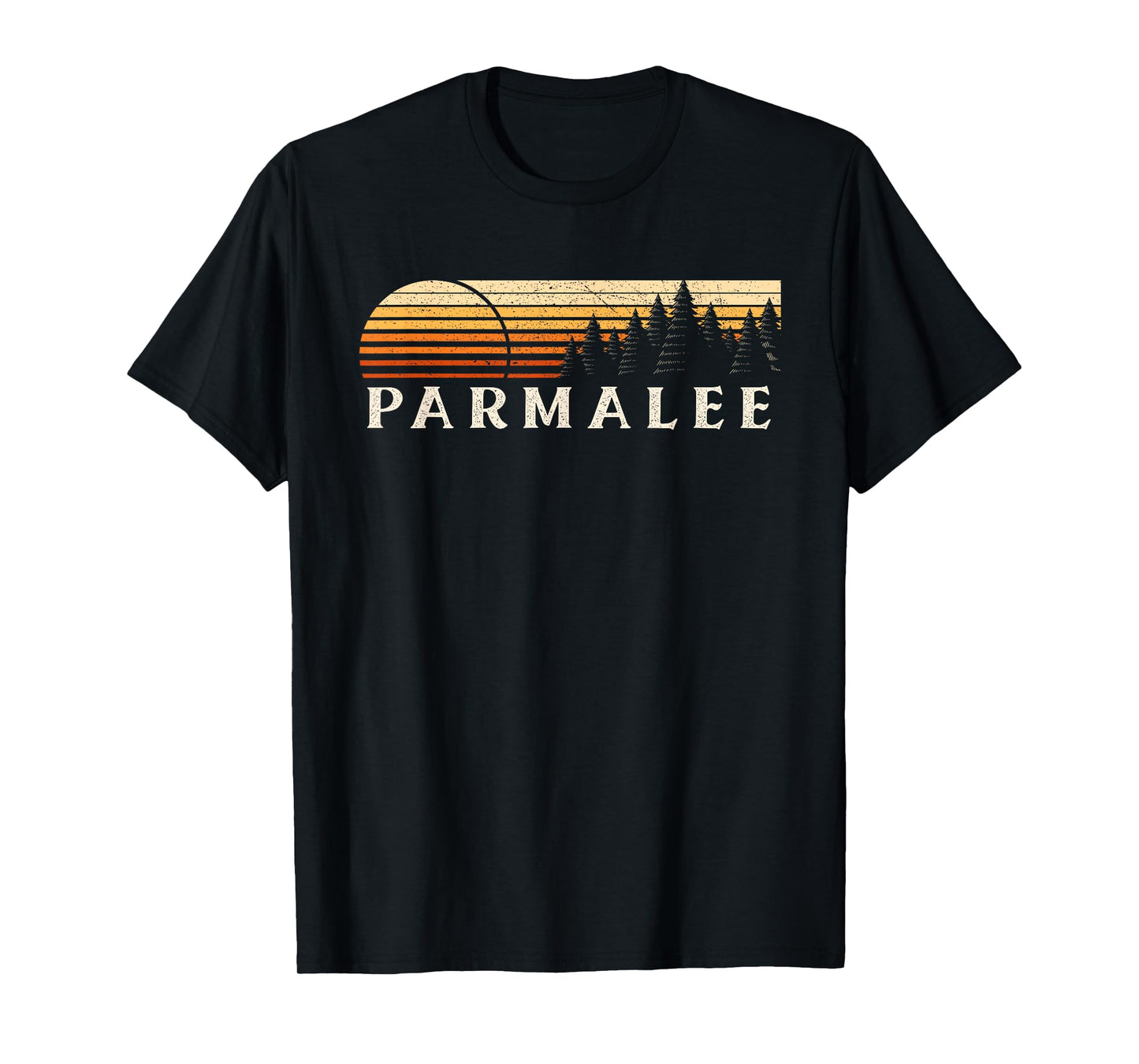 Parmalee, FL Vintage Evergreen Sunset Eighties Retro T-Shirt