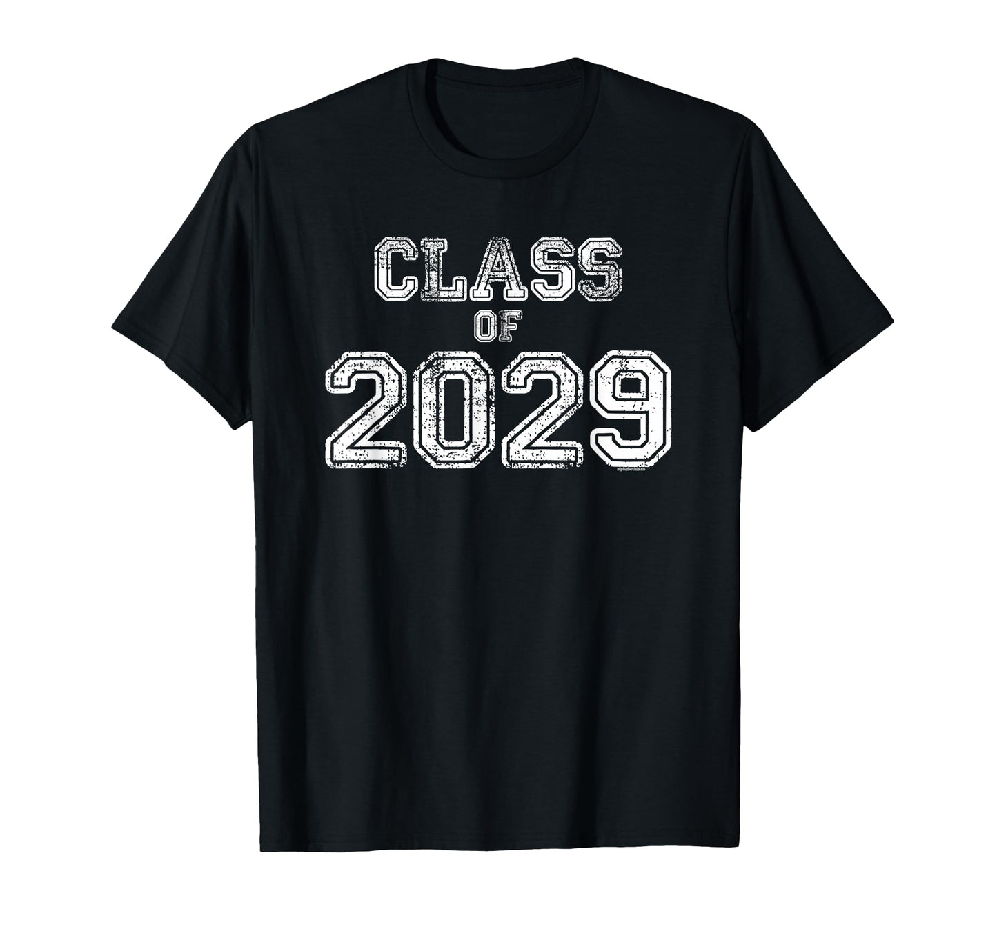 Class Of 2029 Shirt Senior 2029 Graduation Gift Him Her T-Shirt