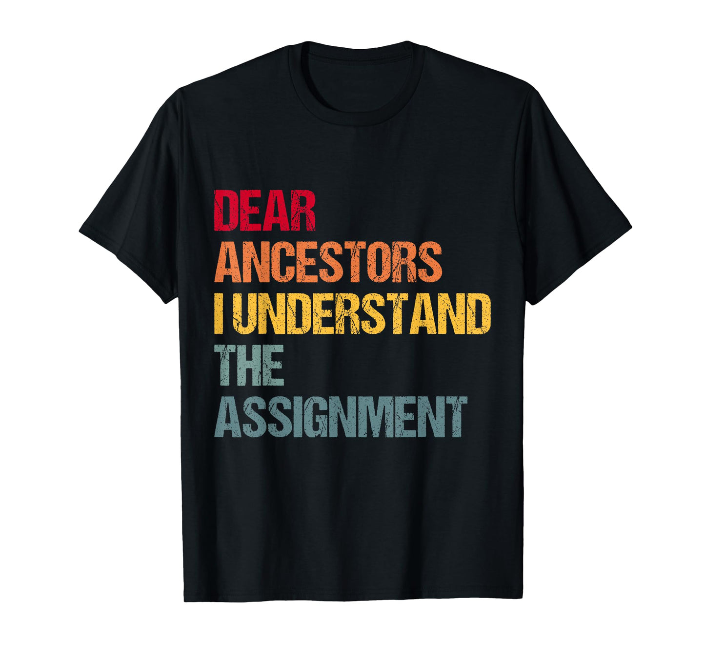 Dear Ancestors I Understand The Assignment T-Shirt
