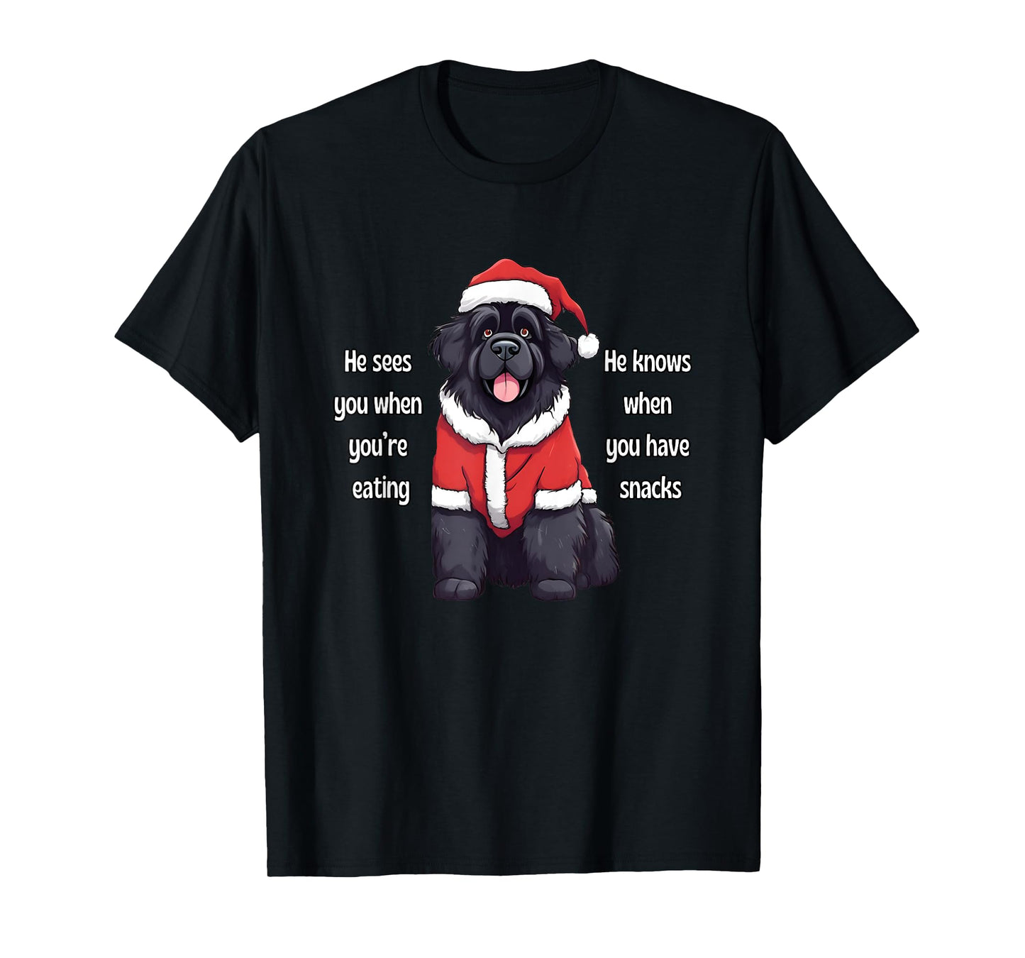He Sees You When You're Eating Funny Newfoundland Christmas T-Shirt