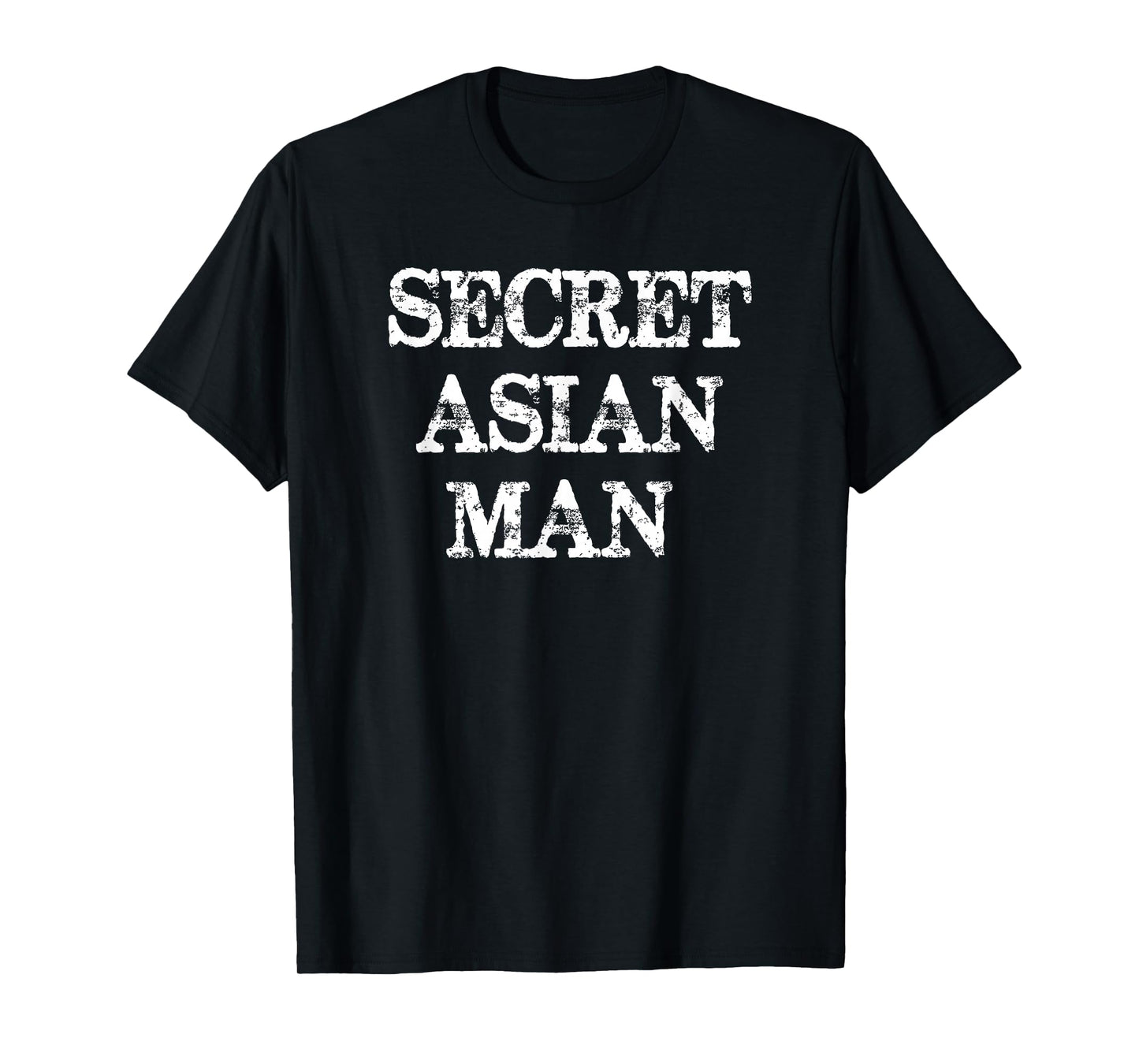 Secret Asian Man - Fun Wrong Song Lyrics T Shirt T-Shirt