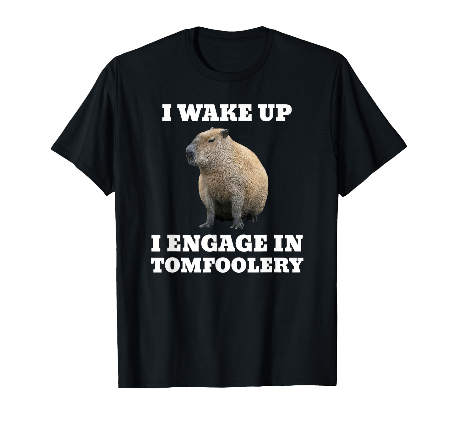 I Wake Up I Engage In Tomfoolery Meme Capybara T-Shirt
