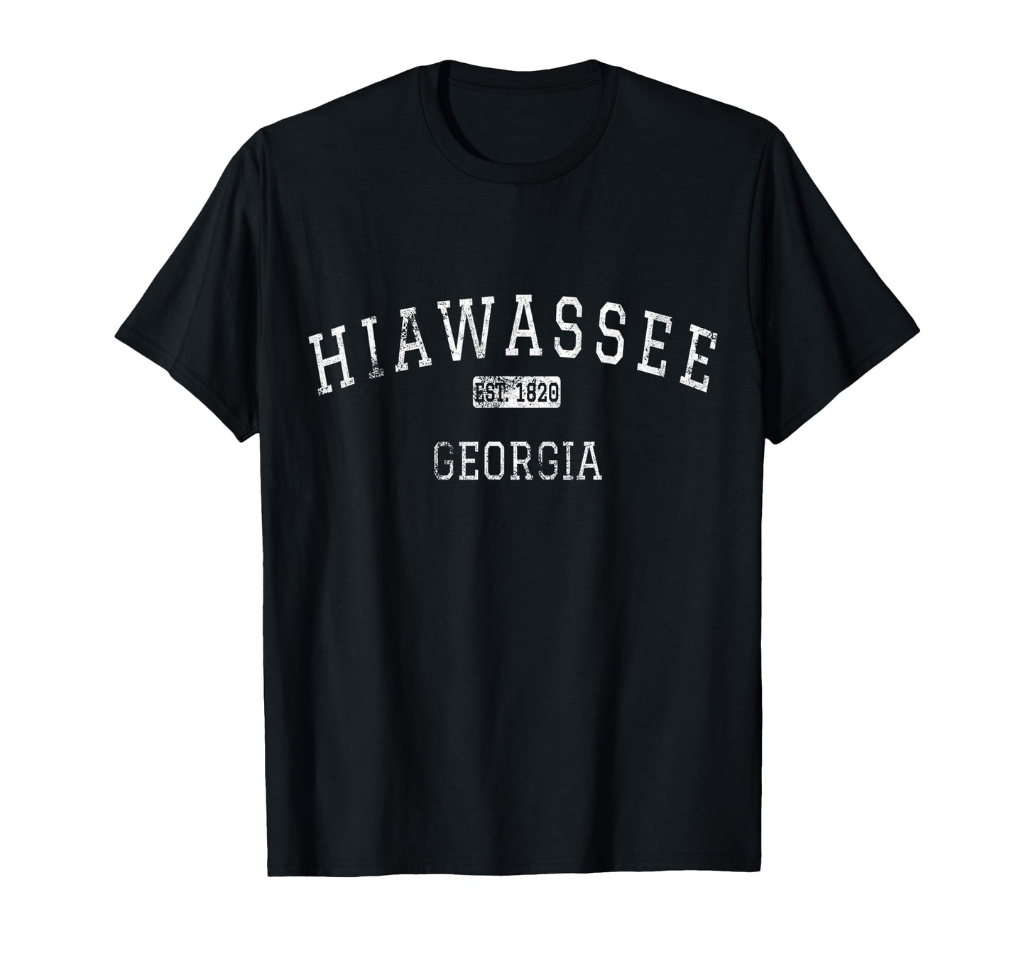 Hiawassee Georgia GA Vintage T-Shirt
