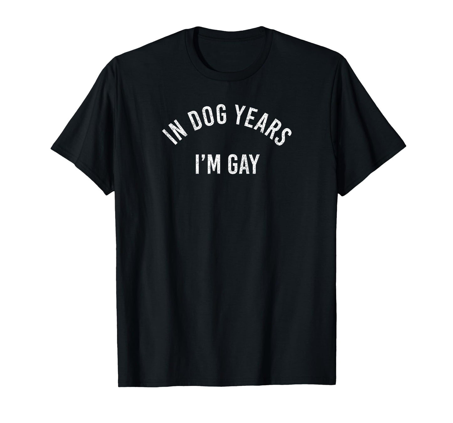 In Dog Years I'm Gay Funny LGBTQ Pride T-Shirt