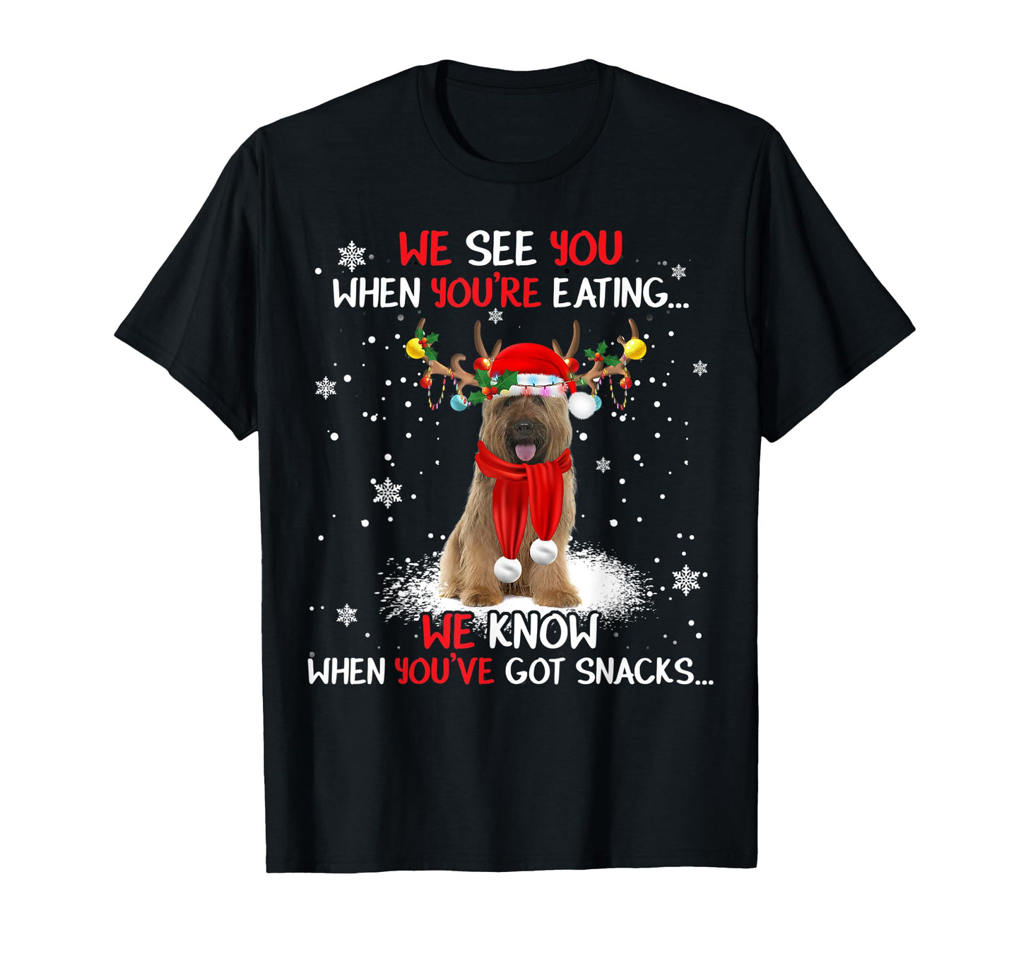 Santa Briard Reindeer Light Christmas Pajama T-Shirt