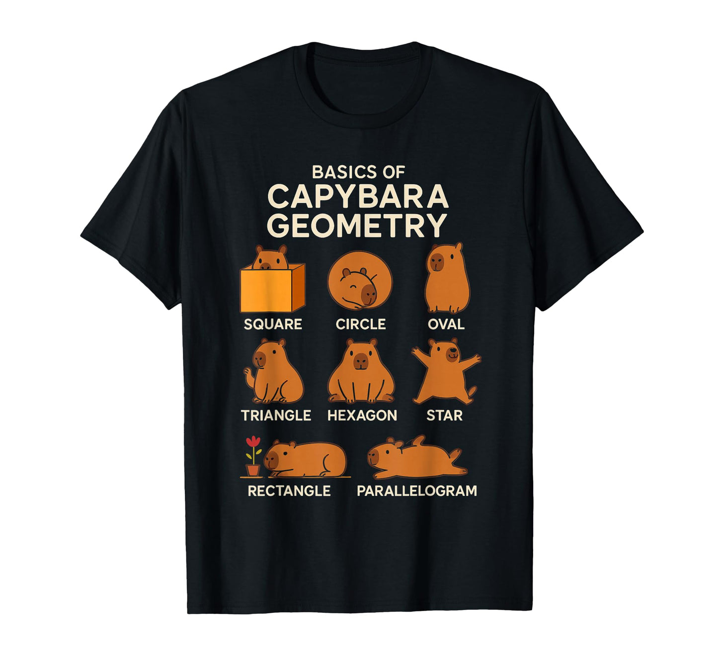 Basic Capybara Geometry Cute Capybara Lover Math School T-Shirt