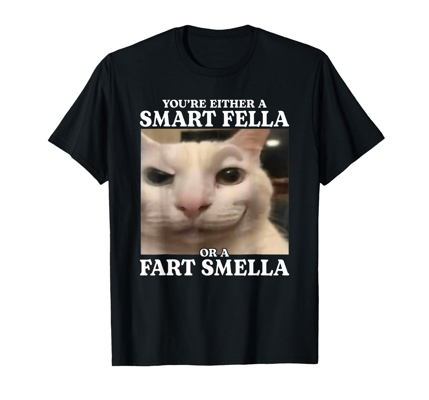 You're Either a Smart Fella or a Fart Smella Funny Cat Meme T-Shirt