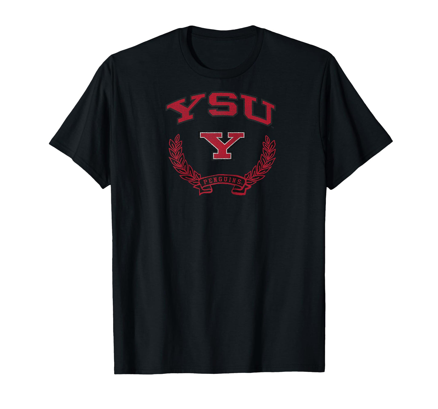 Youngstown State Penguins Victory Vintage Raglan Baseball Tee