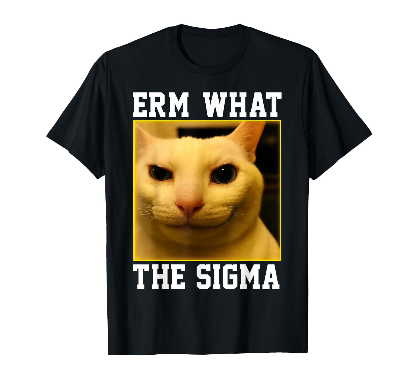 HUGvyn Funny Meme Cat: Erm, What The Sigma Silly Cat Humor T-Shirt