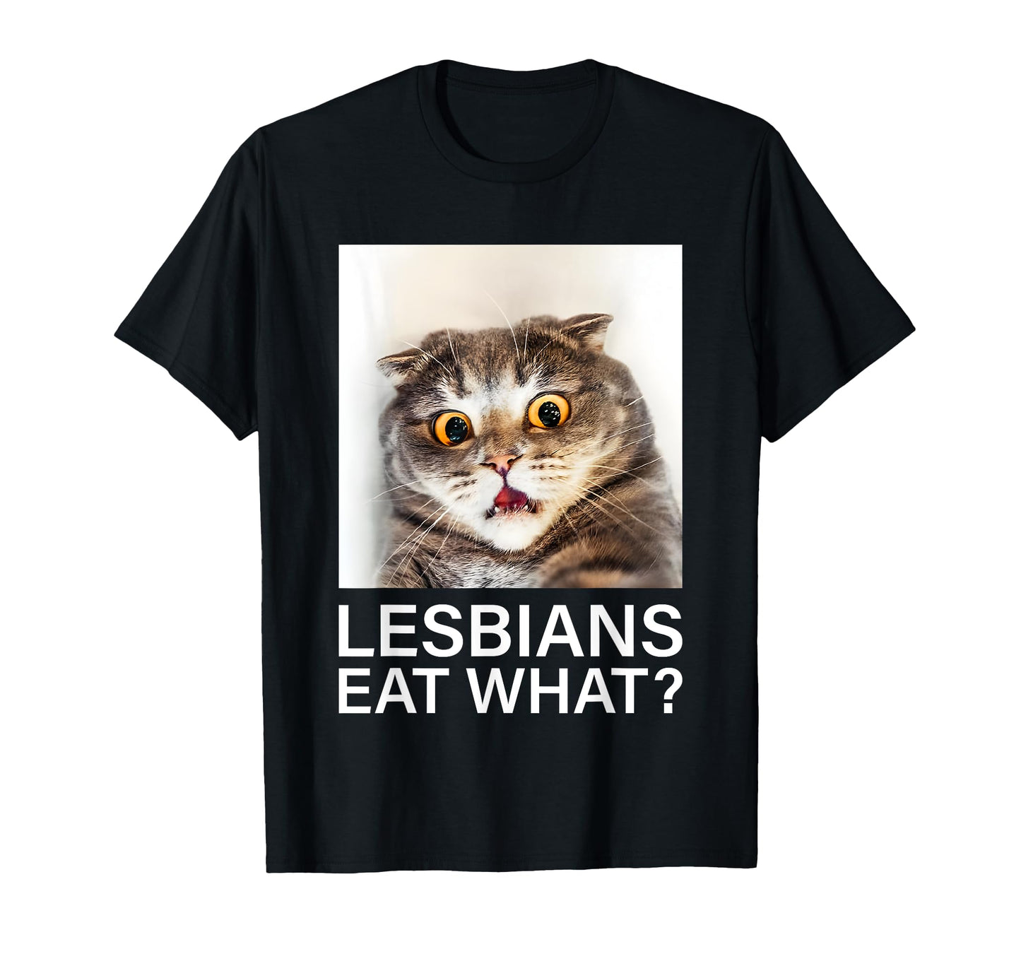 Cat Lesbians Eat What T-Shirt
