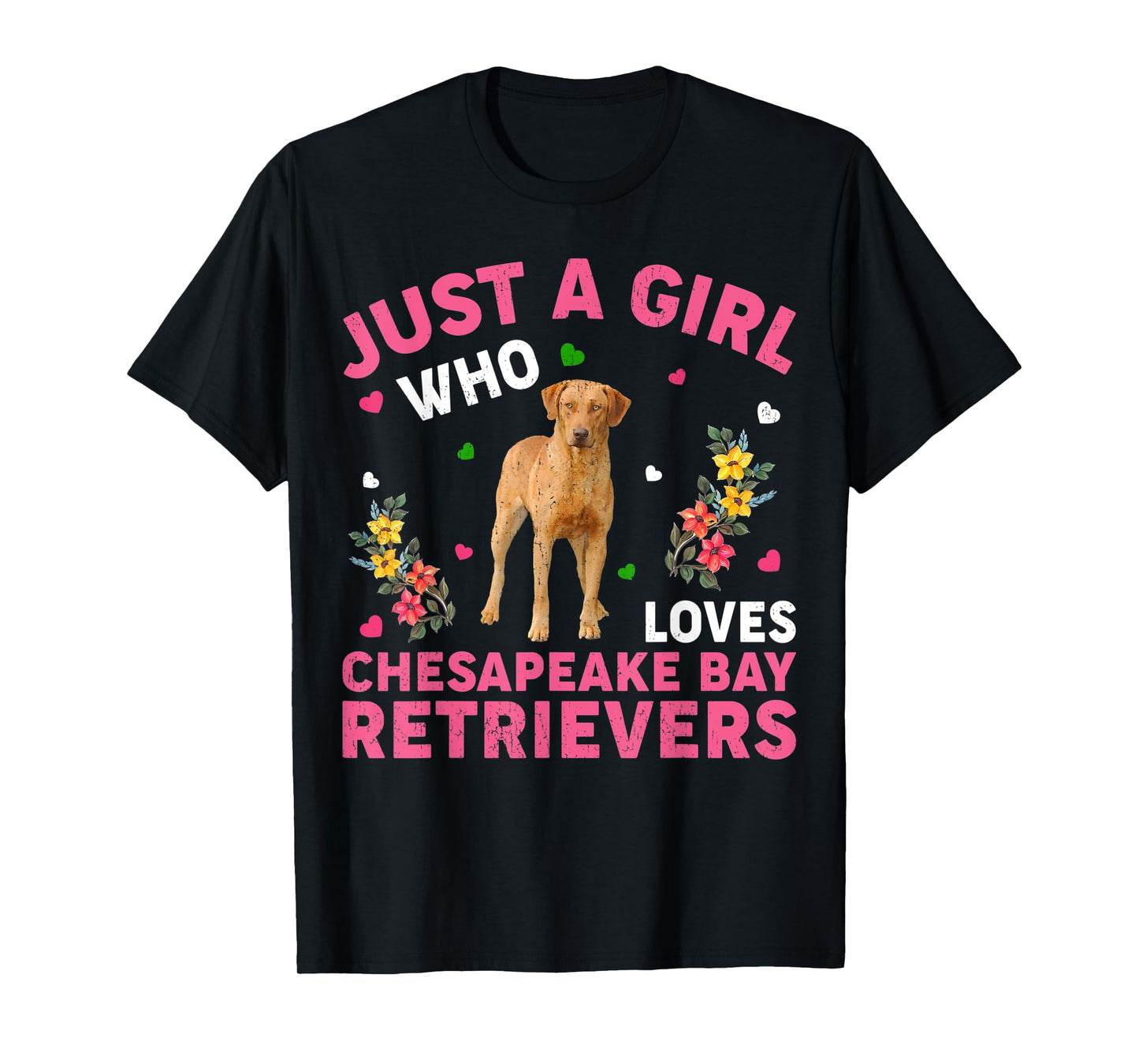 Dog Lover Just A Girl Who Loves Chesapeake Bay Retrievers T-Shirt