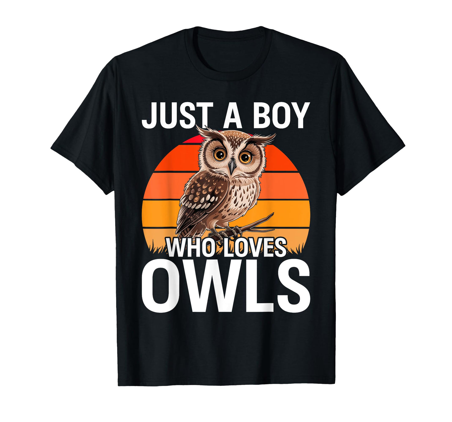 Just a Boy Who Loves Owls For Toddlers Boys Kids Birds Lover T-Shirt